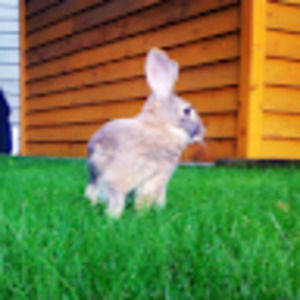 Meet your Posher, Kari